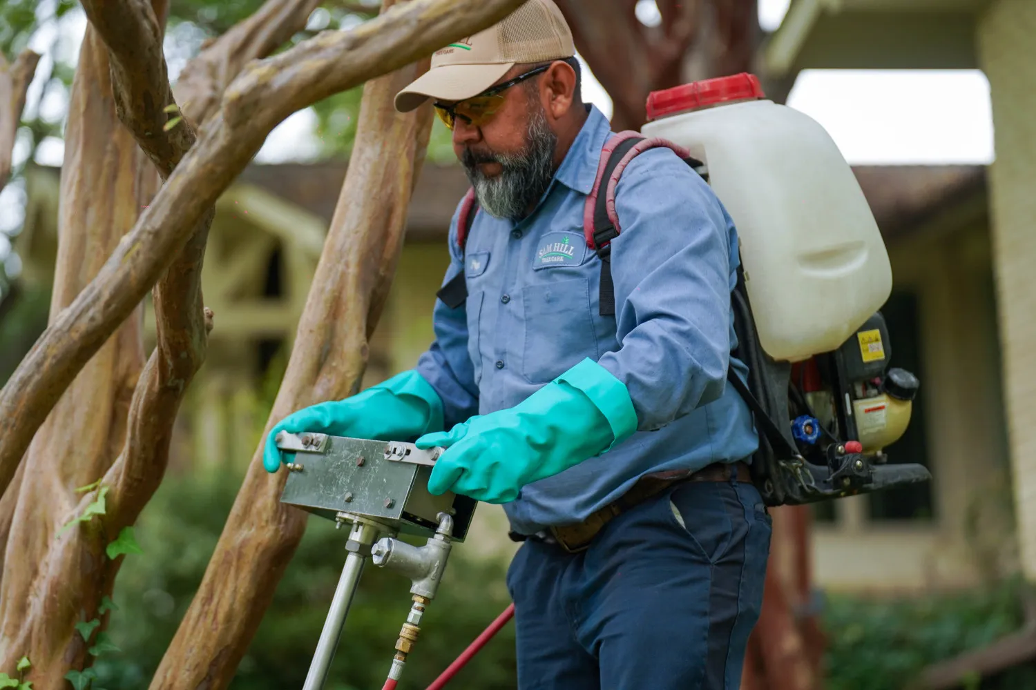 Expert Tree & Plant Health Care