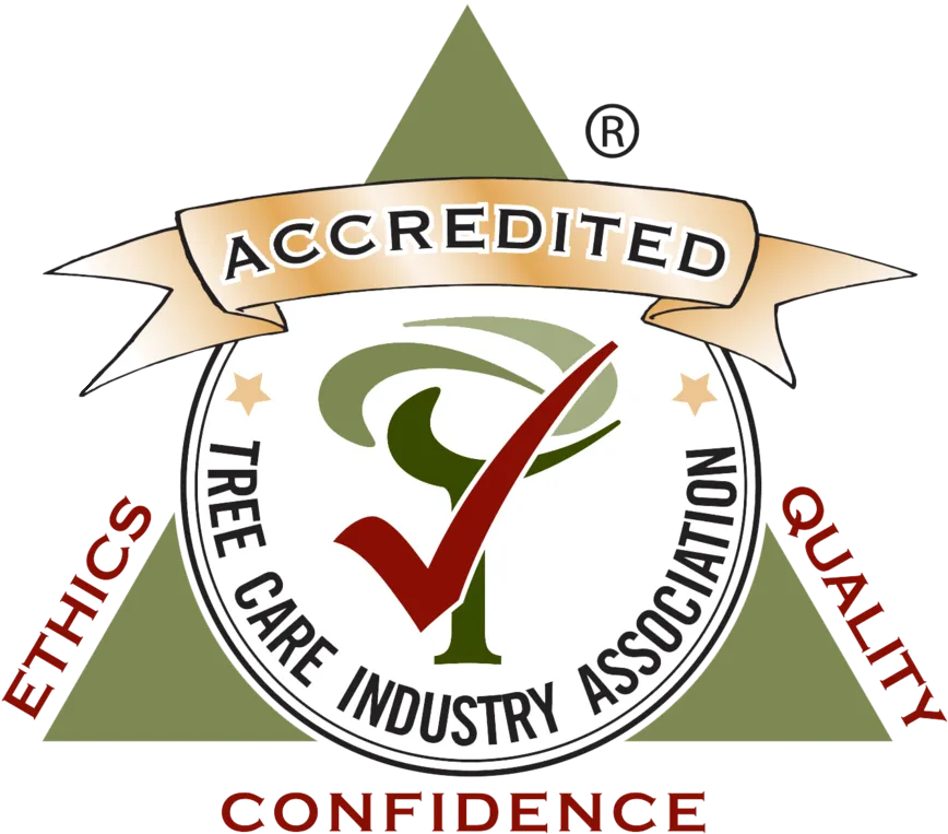 TCIA Accredited