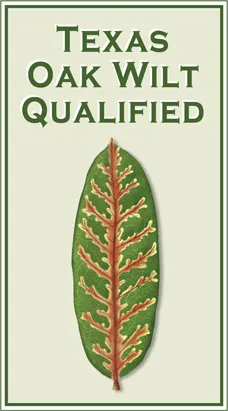 Texas Oak Wilt Qualified