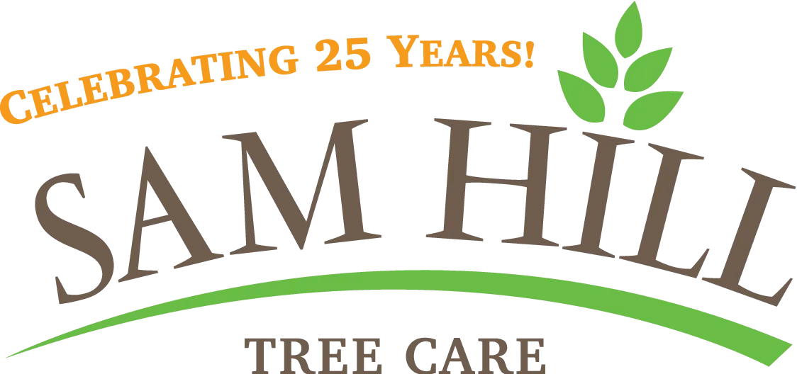 Sam Hill Tree Care Logo